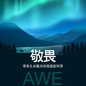 敬畏：帶來生命驚奇的情緒新科學